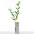 Vase Lab ȭ��