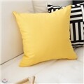 [n1y] ���� ���ο� ���� ����Ŀ�� 40x40