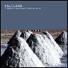 Saltland - I Thought It Was Us But It Was All Of Us
