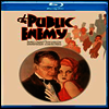 Public Enemy (������ ��) (Black & White)(Blu-ray) (2013)