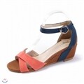 (6cm) �Һ�� �Ľ��� ���� ��Ʈ�� ��������