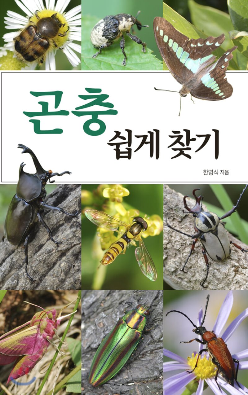 타이틀