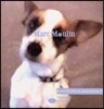 Marc Moulin - Entertainment