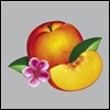 Phoenix - Bankrupt!