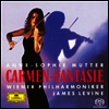 �ȳ�-���� ���� - ī���� ȯ��� (Anne-Sophie Mutter Plays Carmen-fantasie) (Ltd. Ed)(SHM-SACD)(�Ϻ���) - Anne-Sophie Mutter