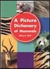 Picture Dictionary of Mammals