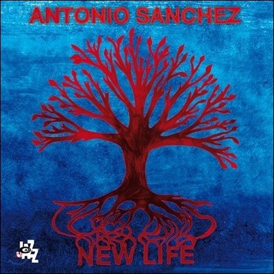 Antonio Sanchez (안토니오 산체스) - New Life