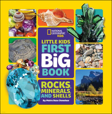 Little Kids First Big Book of Rocks, Minerals & Shells