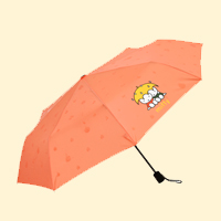 미피 우산
