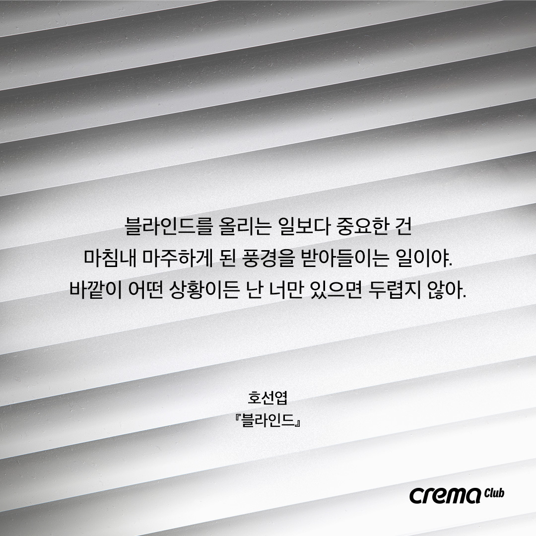 블라인드