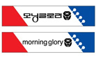 모닝글로리
