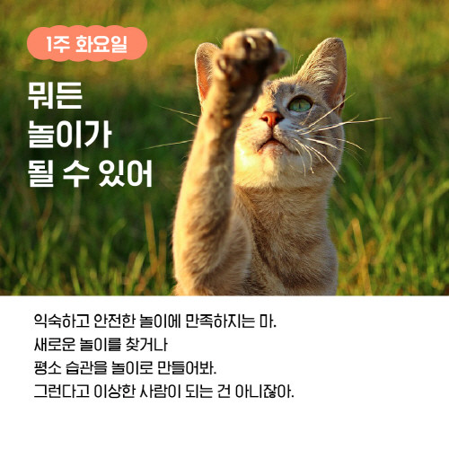 고양이처럼행복_1분3.jpg