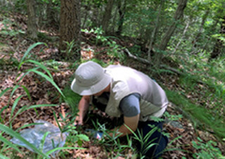 [허태임의 식물탐색] 숲속에서 만나는 위험하고 무서운 것들 | YES24 채널예스