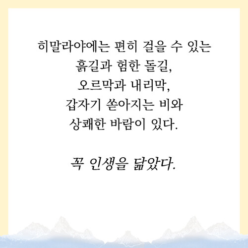 책을짊어진당나귀(카드뉴스)12.jpg