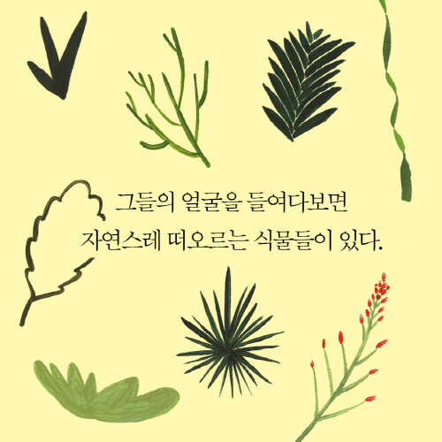 식물그리고사람_이카드003.jpg