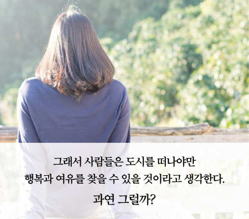 도시_카드뉴스_393.jpg