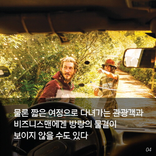 남미히피로드 카드 뉴스04.jpg