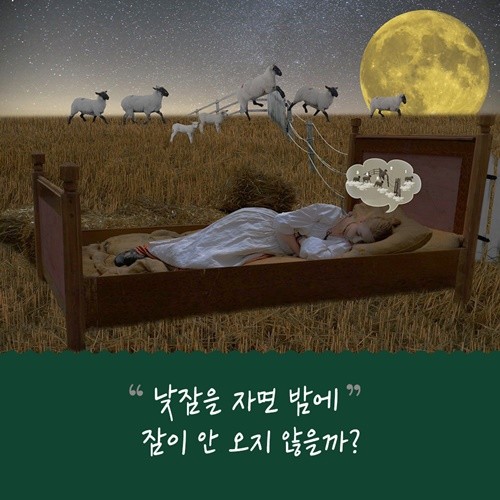 오늘부터나는낮잠을잔다_카드02.jpg