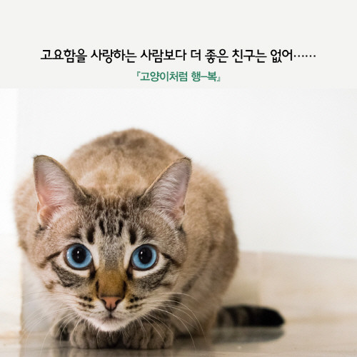고양이처럼행복_1분10.jpg
