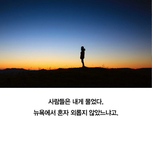 뉴욕 이카드_120010.jpg