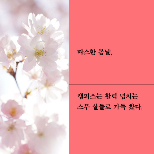 희망대신욕망_카드뉴스3.jpg