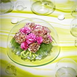 �õ��� �ʴ»�ȭ �ƴٸ����ö�� ī���̼� 150 Dome (��ũ & ���̺���)