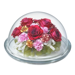 �õ��� �ʴ»�ȭ �ƴٸ����ö�� ī���̼� Dome 200