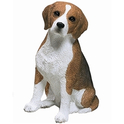 Beagle(���)_SS00902