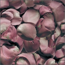 ����� (Jambinai) 1�� - ���� (Differance)