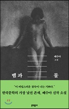 뱀과 물:배수아 소설/