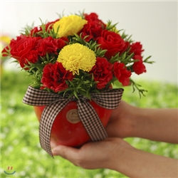 �����ƺ� ī���̼� ���ڱ�ȭ��