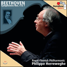 Philippe Herreweghe º£Å亥: ±³Çâ°î 4,7¹ø (Beethoven : Symphony No.4 & 7) Çʸ³ Çì·¹º£Çì Philippe Herreweghe º£Å亥: ±³Çâ°î 4,7¹ø (Beethoven : Symphony No.4 & 7) Çʸ³ Çì·¹º£Çì