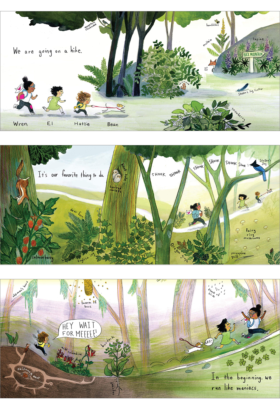 The Hike: (Nature Book for Kids, Outdoors-Themed Picture Book for ...