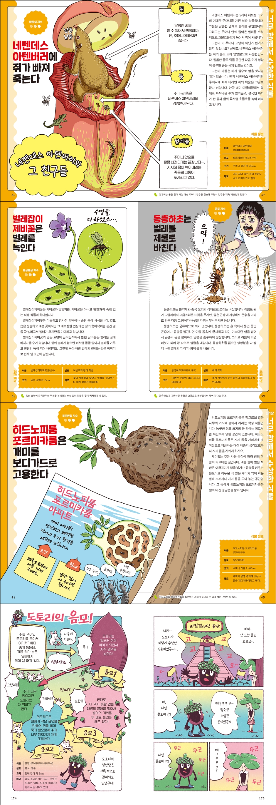 상세 이미지 1