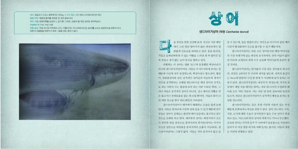 상세 이미지 2