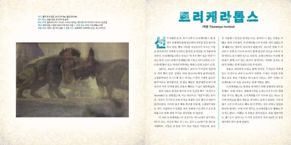 상세 이미지 4