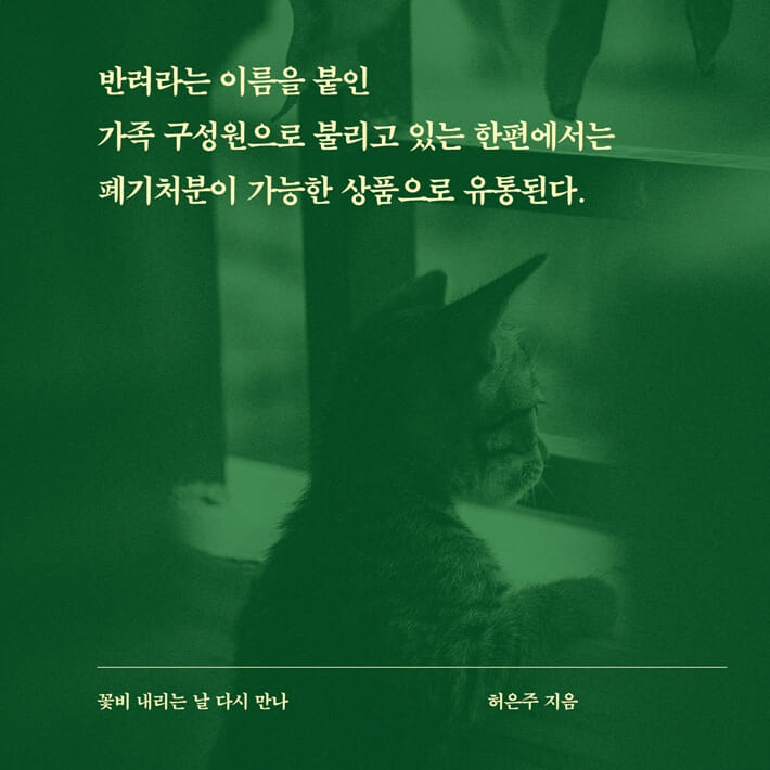 꽃비 내리는 날 다시 만나 - YES24