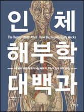 인체 해부학 대백과:내 몸이 아플 때 찾아보는 해부학 교수의 인체 의학 도감/   