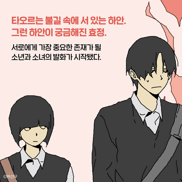 카드뉴스7
