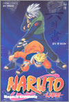 NARUTO ������ ���� ���Ǽ�