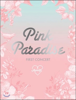 에이핑크 (Apink) 1st 콘서트 DVD : Pink Paradise