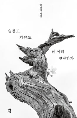 슬픔도 기쁨도 왜 이리 찬란한가