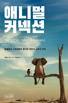애니멀 커넥션 :동물들의 사회생활로 돌아본 생존과 공존의 비밀