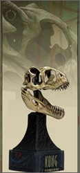 ŷ��: Venatosaurus Skull