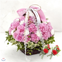 �����ؿ�(�ɹ��,�ɹٱ���,ī���̼�,����̳�,�����ǳ�,�����λ�)