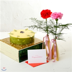 �ѷ��긣 ��������&ī���̼� �μ���(�ɹ��,���ϼ���,����,cake,�������,����������)