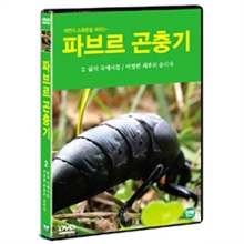 �ĺ긣 ����� 2 : ���� ���� / ���� ������ �¸���