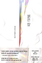 붉은 칼 :정보라 장편소설 /