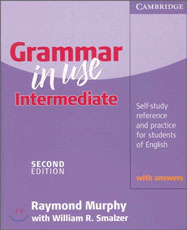 Grammar in Use Intermediate with Answers 2/E