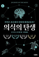 의식의 탄생:의식은 혼돈에서 어떻게 태어날까?/